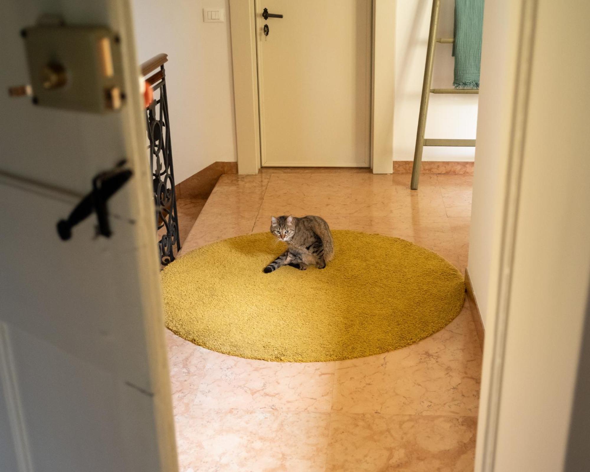 Bed and Breakfast Le 33 Bassano del Grappa Exterior foto