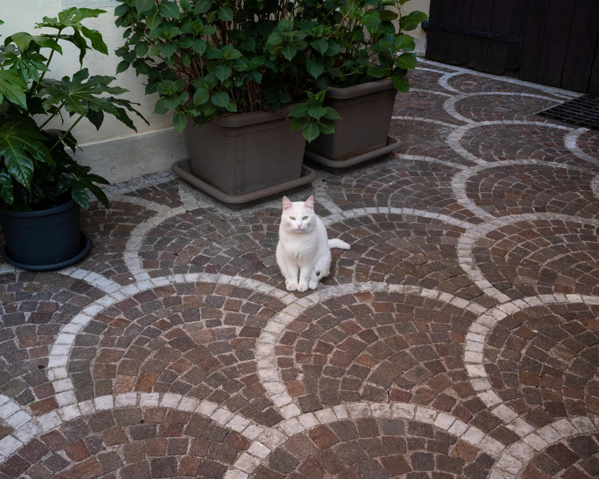 Bed and Breakfast Le 33 Bassano del Grappa Exterior foto